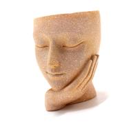 Vaso per il viso in resina creativa per piante succulente, decorazione per giardini da tavolo e paesaggi