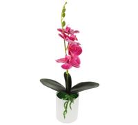 Vaso Per Orchidea Pianta in Di Simulazione Bonsai Piante Artificiali Falso