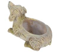 Vaso Per Piante Cani Vasetto Grasse Piantatrice Succulenta Di Fiori Desktop