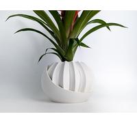 Vaso per piante con stampa 3D con spazio nascosto e scomparto push-lock, piastra segreta per decorazione domestica, regalo unico | Cactus Flower Pot (colore primario: compatibile con il bianco