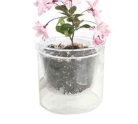 Vaso per piante da interno - Contenitore per orchidee a doppio strato con serbatoio | Vasi per piante da ,per Casa Appartamento Ufficio Hotel Dormitorio Soggiorno Studio Interno Esterno Giardino Patio