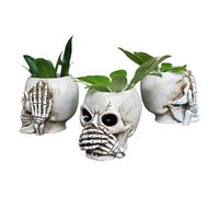 Vaso per piante grasse, 3 pezzi, in resina, a forma di teschio, creativo, per piante grasse, caramelle, vaso di fiori, divertente vaso per piante, decorazione , per la casa