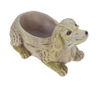 Vaso Per Piante Grasse Vasetto Piantatrice Succulenta Fioriera Cani