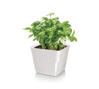 Vaso Per Piante Quadrato Metallo Bianco 13x11cm