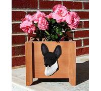 Vaso Per Piante Toy Fox Terrier Nero Bianco