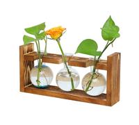 Vaso per Provette in Legno, Vaso a Bulbo con Supporto, Vetro Provetta per Piante, Provetta per Piante Idroponiche, Stazione di Propagazione, per Decorazione Della Casa Dell'ufficio (3 Bulb Vase)