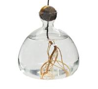 Vaso Per Semi Di Avocado | Vaso Per Alberi Di Avocado | Vaso Per Fiori In Vetro Con Avocado | Kit Per La Coltivazione Di Alberi Di Avocado | Vaso Di Partenza Per Germogli Di Avocado In Vetro