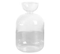 Vaso per semi di avocado Vaso per avocado in vetro 3, 4x5, 4 per la coltivazione di bulbi Vasi minimalisti trasparenti per gemme Piccolo per piante per il radicamento dell'acqua e regali per d.