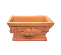 Vaso piante Grasse aromatiche acquario Frutta Terracotta fiori centrotavola