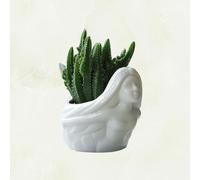 Vaso Piante Grasse Pianta Decorazioni Per La Casa Divertenti Graziosi Vasi