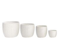 Vaso Punti S/4 Decorazioni Composizione Floreale Primavera Pasqua