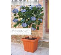 Vaso quadrato da esterno terracottoa con riserva 40 x 40 cm bama