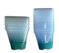 Vaso quadrato in plastica trasparente con base in silicone per un posizionamento sicuro e consentire una facile osservazione delle radici nel giardinaggio (verde 12)