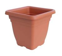 Vaso Quadro Laurus Ics Pp Terracotta H 25 x 25 cm 23 cm 6 Pezzi