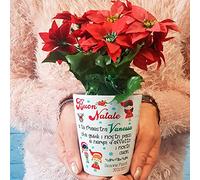 Vaso regalo per la maestra Vasetto Natalizio personalizzato con classe e i nomi dei bambini