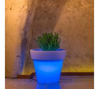 VASO RESINA CON luce blu DIAMETRO 80 ALBERO GIARDINO BALCONE ILLUMINAZIONE