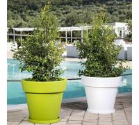 VASO RESINA DIAMETRO 80 VARI COLORI ALBERO GIARDINO BALCONE INDOOR OUTDOOR