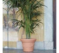 Dimartino Vaso tondo Elios in resina antiurto D.35 H.28 Colore Impruneta