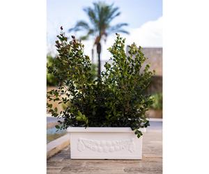 Vaso rettangolare Festonato in Polietilene colore inalterabile dimensioni 80x40 x h 33,5- 45 litri colore bianco bianco