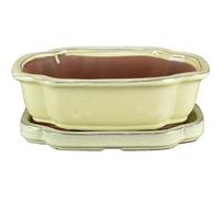 Vaso + sottovaso per bonsai ovale (forma mokko) in gres smaltato bianco 28x21x6,