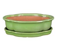 Vaso + sottovaso per bonsai ovale (forma mokko) in gres smaltato verde 27x20,5x6