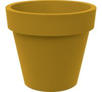Vaso Standard One 100 cm Moutard