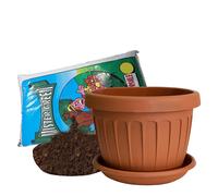Vaso Terra Tondo con Sottovaso e Terriccio Plastica Terracotta per Fiori Piante