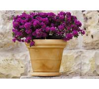 Vaso Tondo Campana Liscia doppio bordo in Resina Ø50/55/65/90cm SIMIL TERRACOTTA