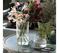 Vaso Trasparente cilindrico per composizione floreale | Centrotavola moderno decorativo interni ed esterni | Ideale per piante e fiori, fai da te (2, Altezza 17cm)