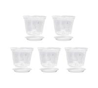 Vaso trasparente da giardino per piantine di piante grasse vivaio Nutrizione Pot Cup Container Nutrizione Pot Bowl Borsa per fiori Borsa per fiori 5 pezzi Borsa per fiori Design trasparente Etichetta