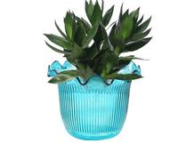 Vaso trasparente per fiori, vaso per piante acquatiche, contenitore per piante acquatiche per balcone, cucina, eventi, addio al nubilato, sfondo fotografico, ristorante, centrotavola per matrimoni