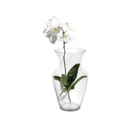 H&H 8248040 Vaso Un Flor, Vetro Trasparente, 40 cm