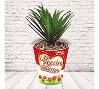 Vaso Vasetto ''LE TUE COCCOLE CON NOME'' in ceramica per pianta Personalizzato, idea regalo di classe fine anno scolastico Maestra asilo nido, scuola materna, elementare infanzia e primaria