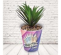 Vaso Vasetto ''SEI SPECIALE CON NOMI'' in ceramica per pianta Personalizzato, idea regalo di classe fine anno scolastico Maestra asilo nido, scuola materna, elementare infanzia e primaria