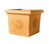 VASO VASI PER PIANTE VASI TELCOM QUADRI CON ROSONE CURA DELLE PIANTE