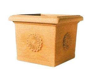 VASO VASI PER PIANTE VASI TELCOM QUADRI CON ROSONE CURA DELLE PIANTE