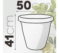 Vaso Verona con Sottovaso e Terriccio Plastica Interno Esterno Fiori Piante Orto