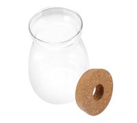 Vaso Vetro Terrario Micro Paesaggio Tappo Sughero per Piante Idroponiche | Contenitore Trasparente Decorativo, per Succulente e Asparago, Arredamento Soggiorno Studio