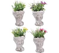 VASO VISO C/PIANTA