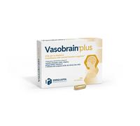 Vasobrain plus 24 capsule