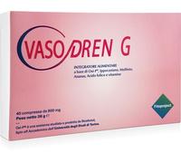 Fitoproject Integratore microcircolo Vasodren G 40 compresse 500 mg
