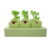 Vassoi Di Avviamento Vegetale - Contenitori Di Germinazione Riutilizzabili | Gestire Le Forniture Di Giardinaggio | Coltivarli In Serra | Stile Di Preparazione Della Patch Vegetale | Trapianto Esterno