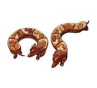 Vassoio a scomparti - Dachshund a 5 sezioni divertente | Set di vassoio con scomparti multipli - per cucina casa pasto ristorante noci antipasto