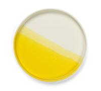 Vassoio A Spina di Pesce Giallo