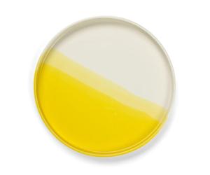 Vassoio A Spina di Pesce Vitra Giallo