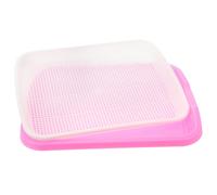 Vassoio di germinazione Soil-Free Food Grade PP Healthy Wheatgrass