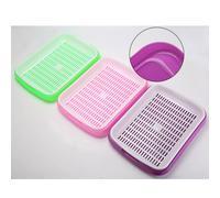 Vassoio di germinazione Soil-Free Food Grade PP Healthy Wheatgrass