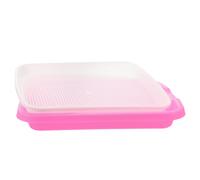 Vassoio di germinazione Soil-Free Food Grade PP Healthy Wheatgrass