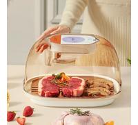 Vassoio di scongelamento Tappetino per scongelamento carne con cestello