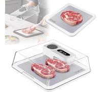 Vassoio elettrico per scongelare la carne congelata, 4,2 l, con timer intelligente, batteria da 2000 mAh, pannello LCD, scongelamento rapido per bistecca, frutti di mare, pesce